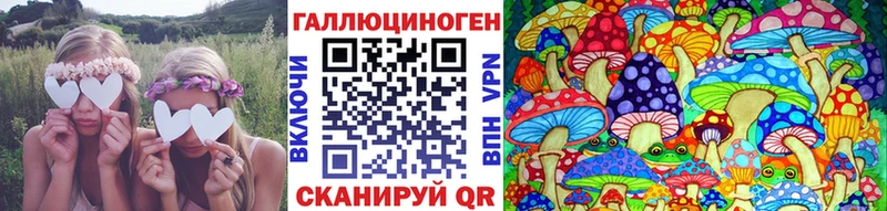Галлюциногенные грибы Psilocybine cubensis  цены наркотик  Саратов 